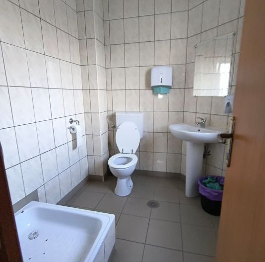 Spatiu birou/depozitare Ion Mihalache- Chibrit-Expozitiei - Poză 7