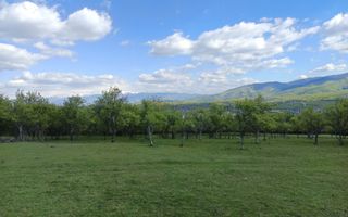 Teren Extravilan I Cisnadie I 3.506 MP - Poză 1