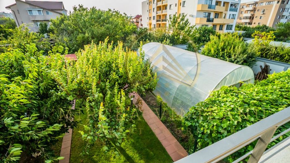 Palazu Mare / Elvila -  Vanzare Vila  D+P+1E cu teren de 996 mp - Poză 36