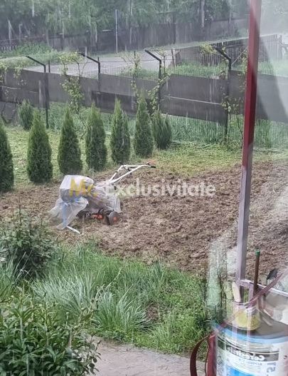 Casă P+M cu 1.558 mp teren, livadă și garaj - Poză 19