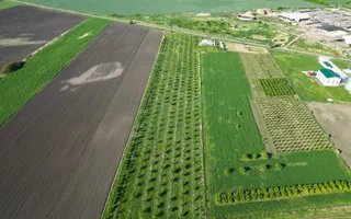 Livadă de nuci și pruni 2.4ha în Variașul Mare - Poză 18