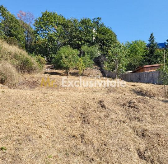 Teren intravilan Turcesti (Pitesti) - 1083 mp, demisol executat - Poză 2