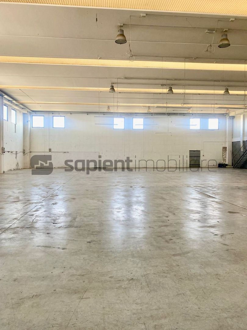 Sapient | Hală situata în com. Borș - Poză 3