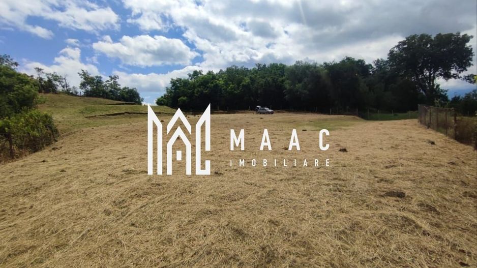 Teren intravilan | 3860 mp în Sărata | ideal pensiune sau resort - Poză 1