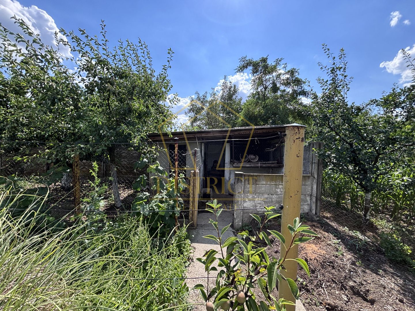 COM 0% Casa individuala 151mp | Teren 1323mp | Garaj 60mp | Ciacova - Poză 3