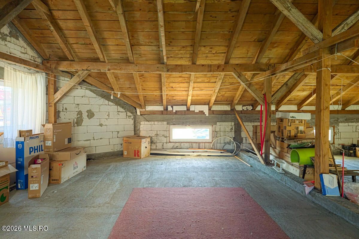 Lunei - Ion Neculce, 2 Apartamente. Mansarda 157 mp. Anexe, Lot 475 mp - Poză 35