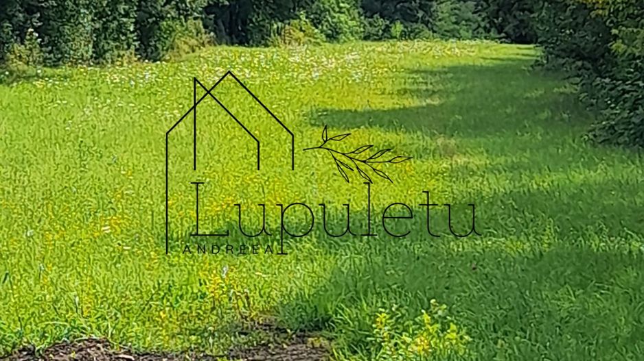 Teren Intravilan | 1500 MPU | Tocile, Comuna Sadu - Poză 8