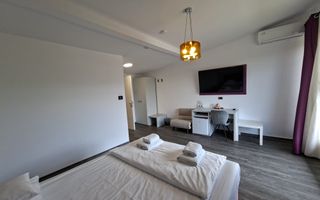 Pensiune 600 mp an 2023 si casa 130 mp teren 4600 mp zona V. Avrigului - Poză 3