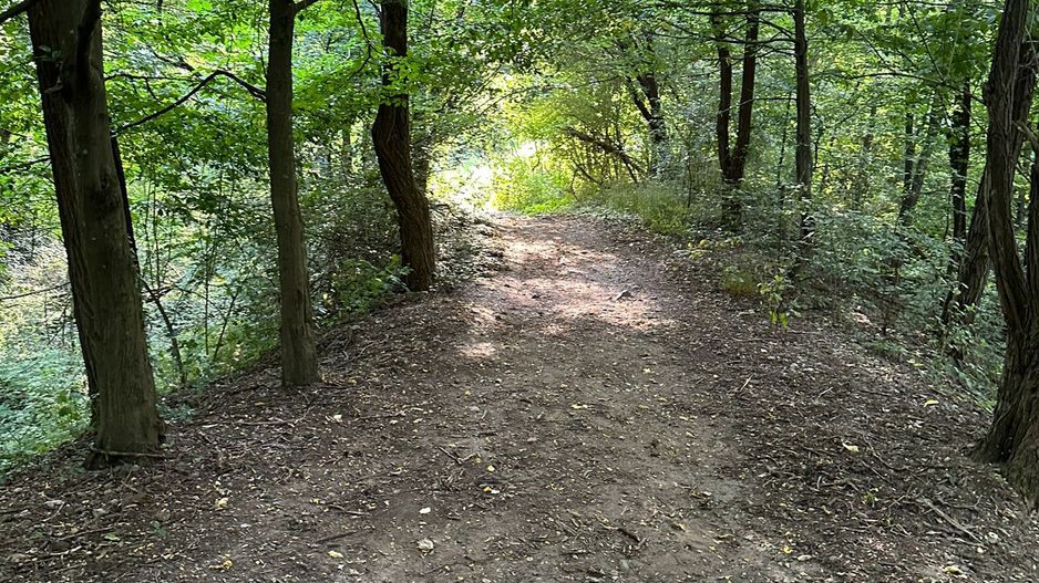 Teren Intravilan, în orașul Sebiș, Arad - Poză 31