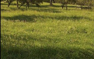 Teren Moieciu de Jos - Poză 1