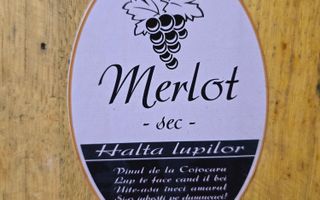 Vie Tradițională „Halta Lupilor” - Poză 18