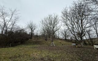 Teren 5000MP | Intravilan | Utilitati | Acces auto | SIBIU - Poză 1