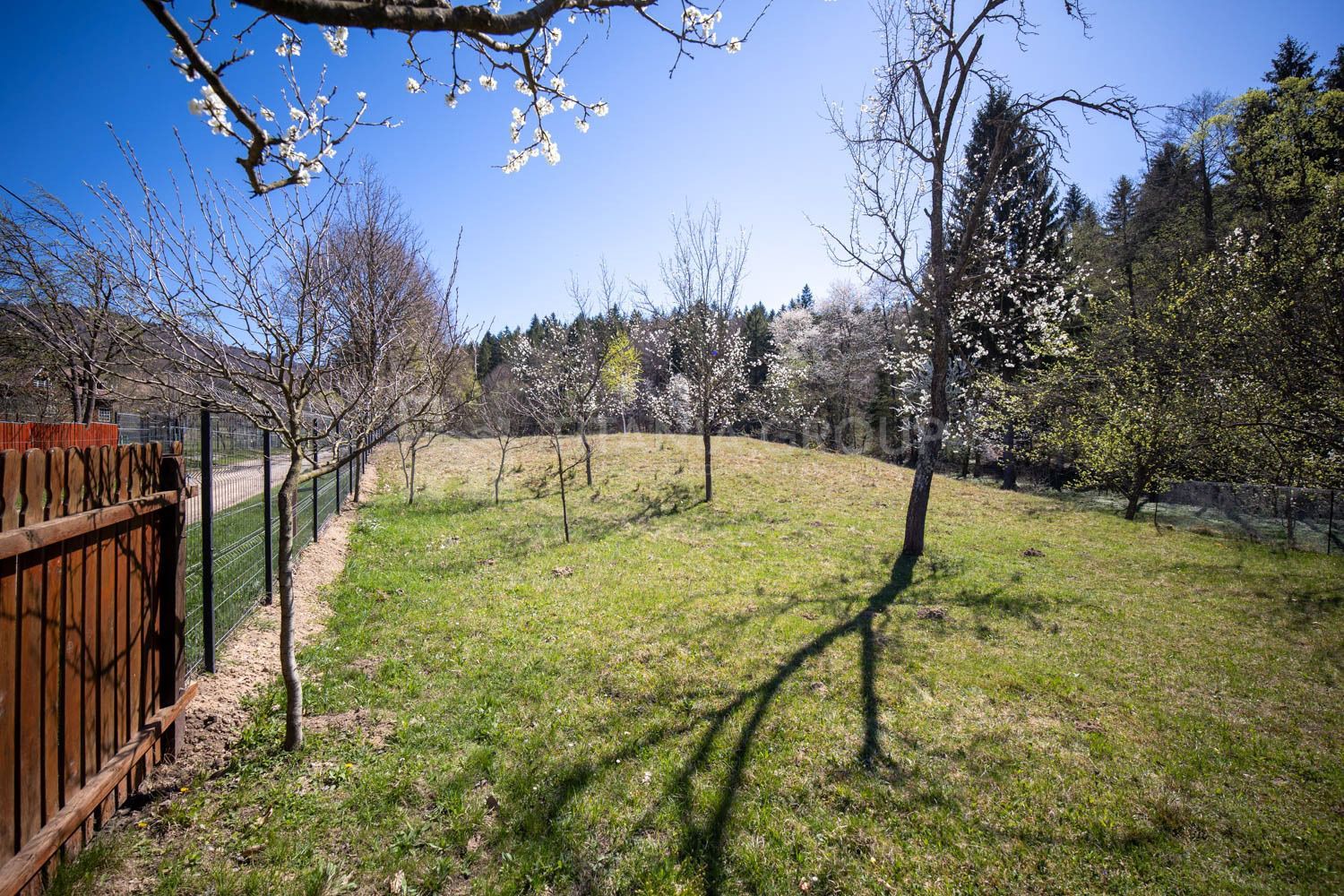 Teren intravilan, pretabil pentru casa de vacanta, 2000 mp - Poză 7