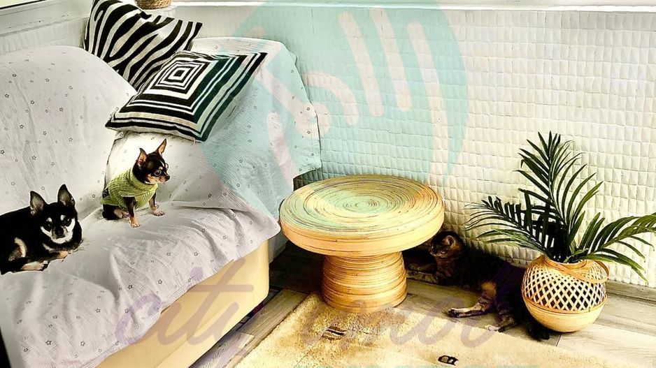 Apartament cu 3 camere renovat si cu parcare - Poză 8