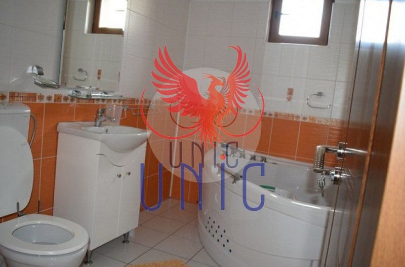 Super pret - Vila P+E+M, Lapus-Arges - Poză 20