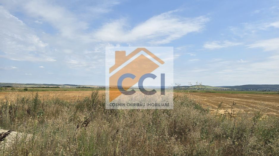 Teren intravilan– 50.000 mp, Bacău, Șoseaua Hol - Poză 4