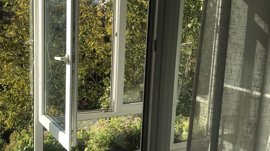 Clea  FLOREASCA - Poză 4