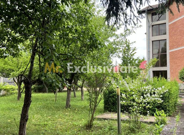 Acasă la Bascov- Județ Arges cu peisaj de poveste - Poză 5