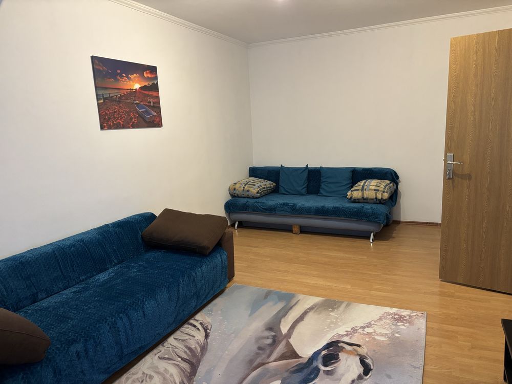 2 camere decomandate, renovat, 2 min metrou 1 Decembrie, Pet friendly - Poză 5