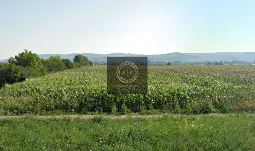 Teren Intravilan 25.561 mp | Deschidere 58ml, Șoseaua de Centură - Poză 4