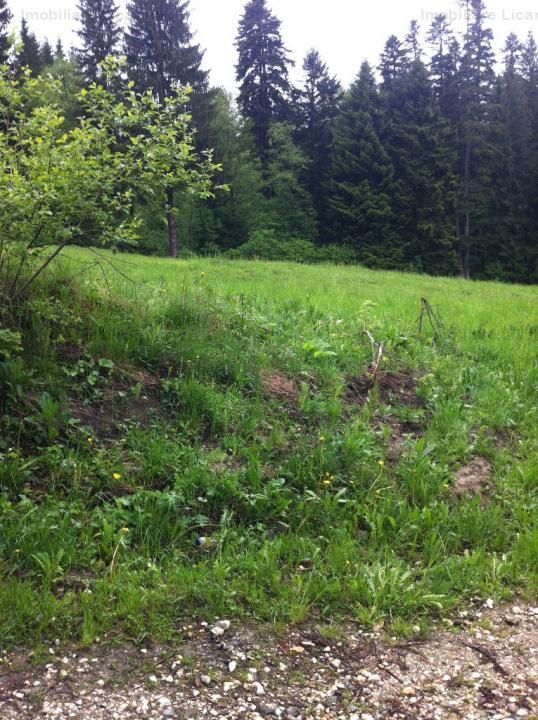 Teren intravilan Cotul Donului,pretabil Hotel/pensiune. - Poză 13