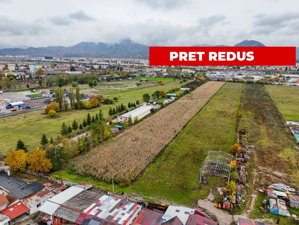 Teren industrial- Timișul Sec oportunitate investițională - Poză 5