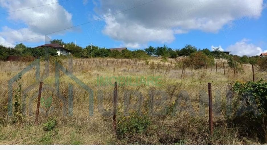 Teren intravilan de vanzare in Chicerea, Tomesti - 500 mp - Poză 4