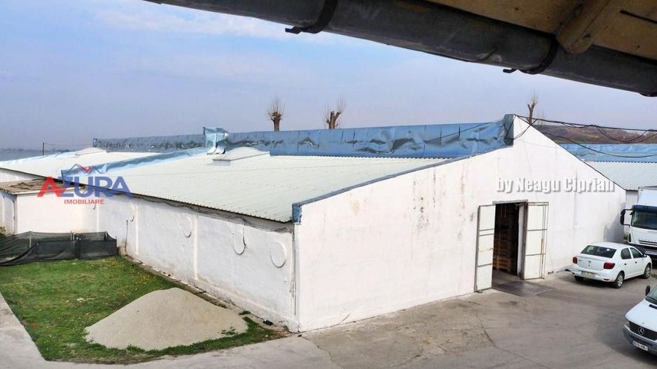 COMISION 0% - HALE Calinesti Arges - Poză 21