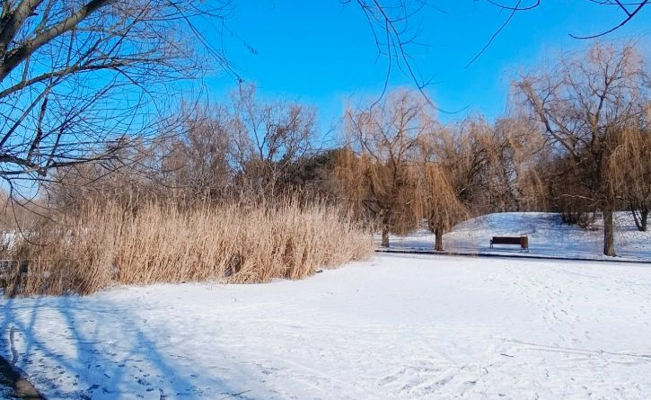 Garsoniera investitie Titan - Poză 1