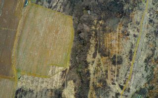 Teren pe deal în Miniș - Poză 6