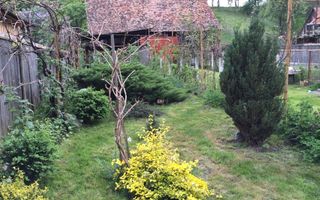 Casă individuală I Rustic I 100 mpu I Curte 2000 mp I Nemșa - Poză 2