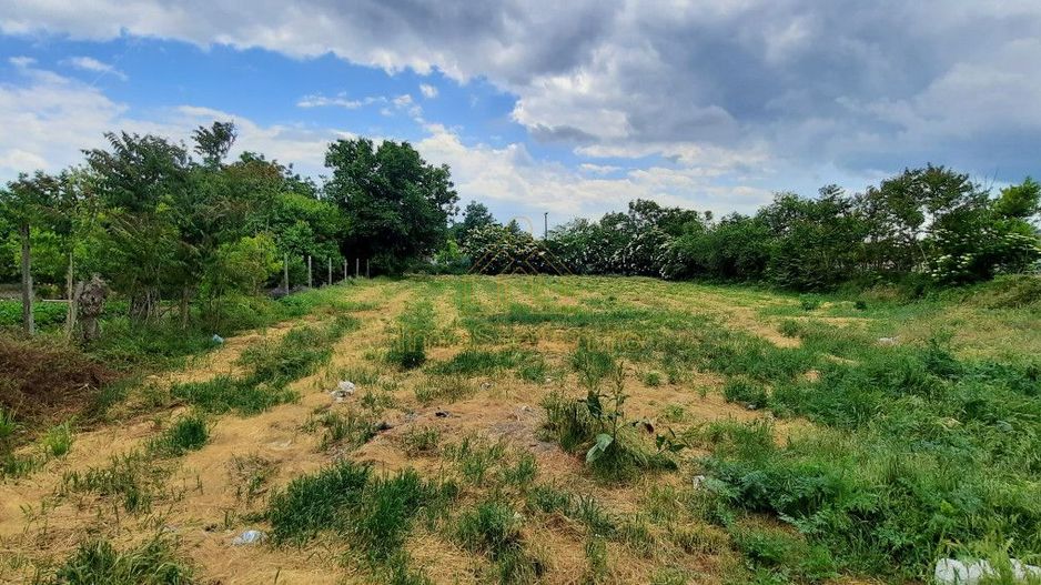 Teren intravilan oportunitate bună în Poarta Albă - Poză 1