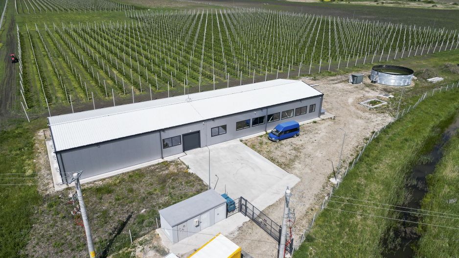 Oportunitate investiție: Livadă de Cireși și Hală - Poză 21