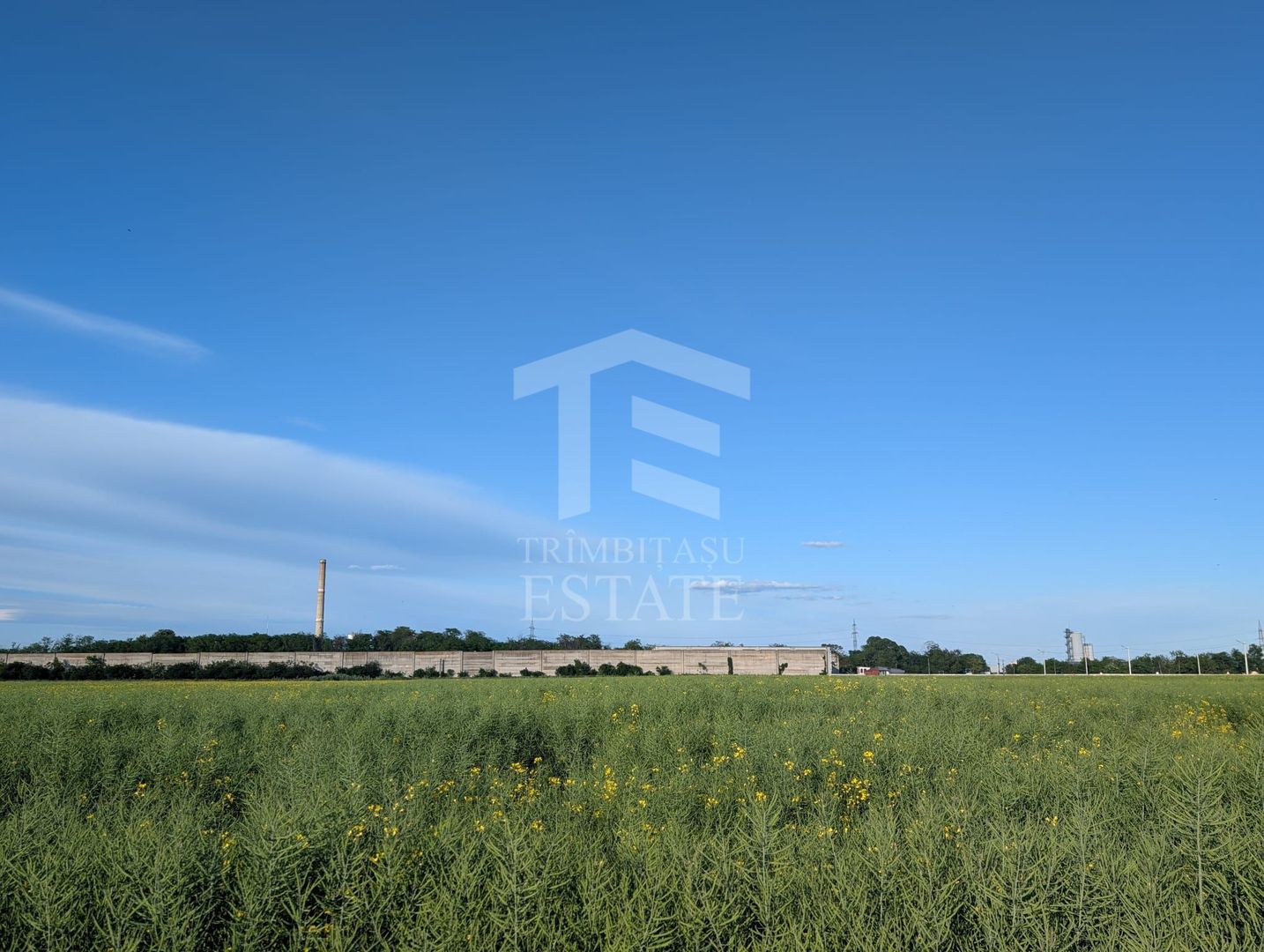 Teren de vanzare Domnești - Str. Narciselor - 20312mp - Poză 3