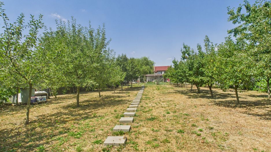 Teren edificabil 1106 mp – Dumbrăvița - Poză 3