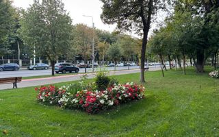 Apartament 2 camere decomandat Copou Gaudeamus - Poză 15