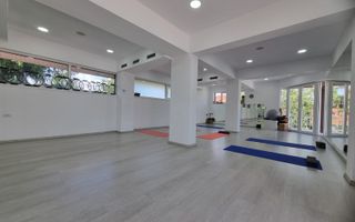 INCHIRIERE -2 VILE -ZONA MOGOSOAIA - Poză 25