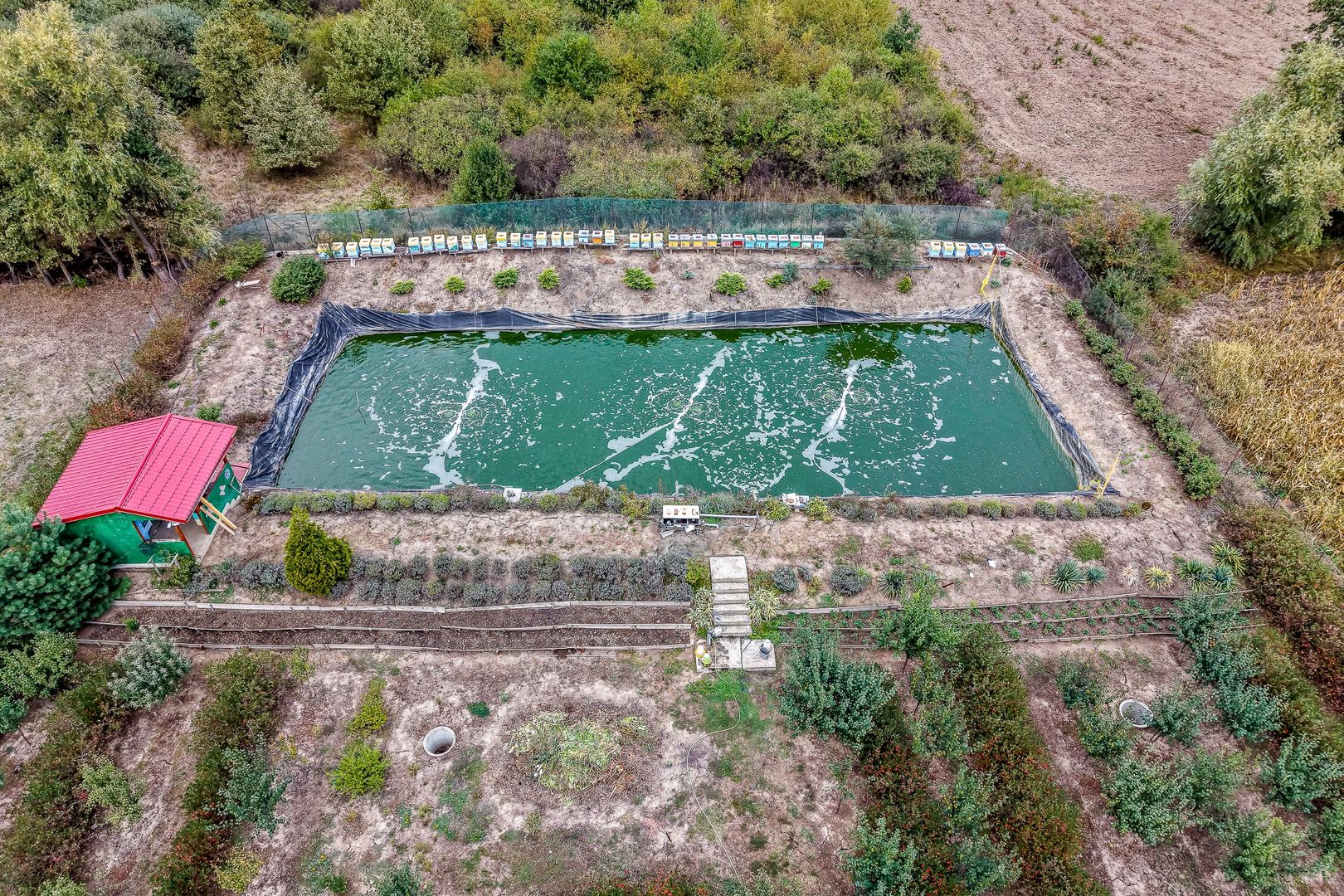 🏡 Mai mult decât o casă: libertatea de a trăi aproape de natură - Poză 4