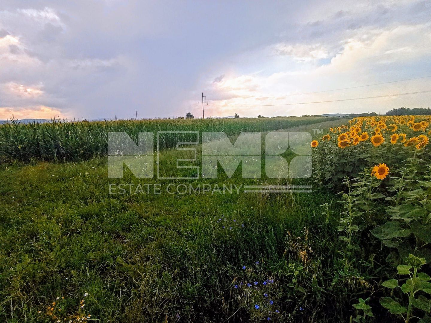 Teren extravilan de vânzare – 13 ari, deschidere la drum 7m - Poză 2