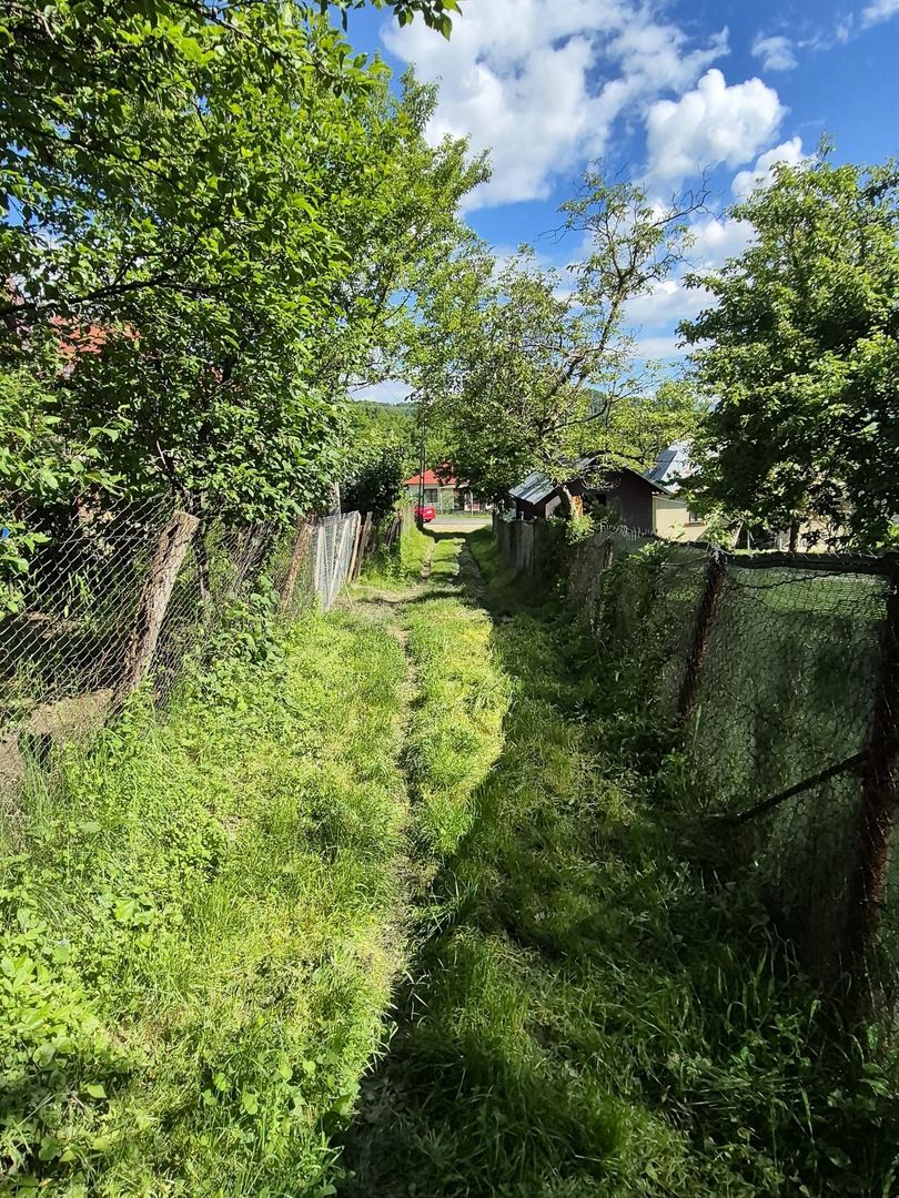 Teren intravilan 1290 mp Plaiu-Provita de Sus - Poză 6