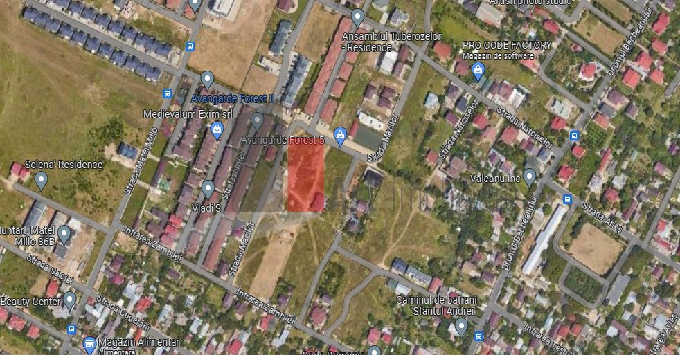 Teren Intravilan Matei Milo - Poză 2