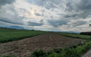 Teren Stupini Calea Feldioarei 11800 mp,25 euro/mp, front asfalt-DN13 - Poză 2