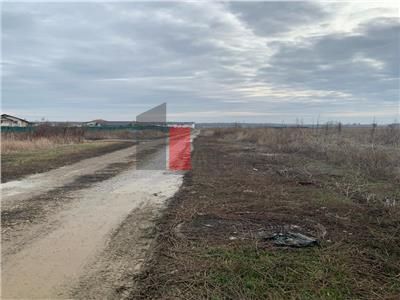 Vanzare Teren 3200mp  Cornetu  Ilfov - Poză 4