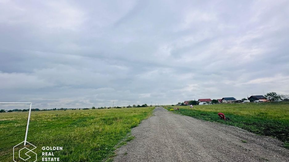 Terenuri cu utilitati, intrare Livada - Poză 5