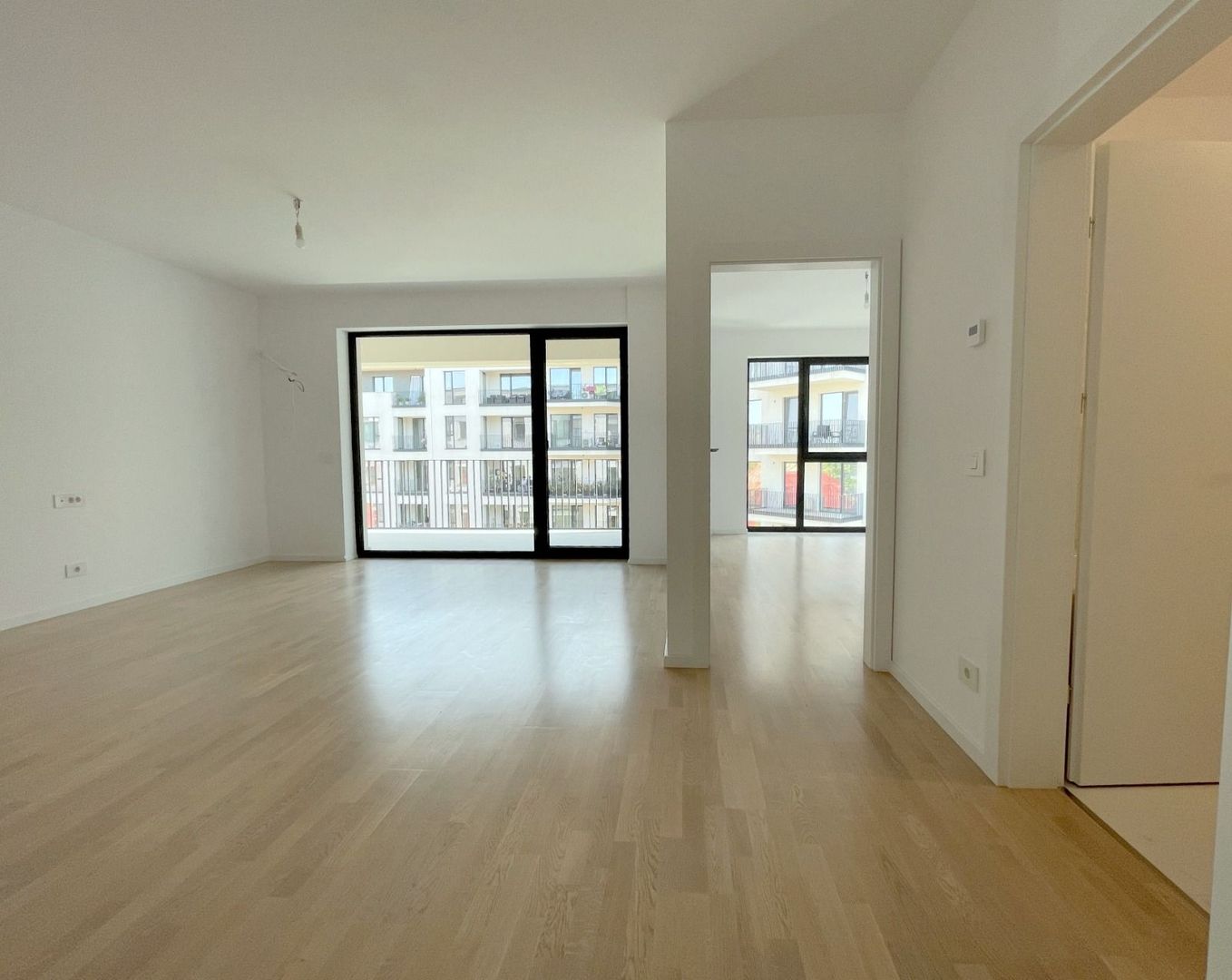 Apartment 2 camere la Paltim - Poză 3