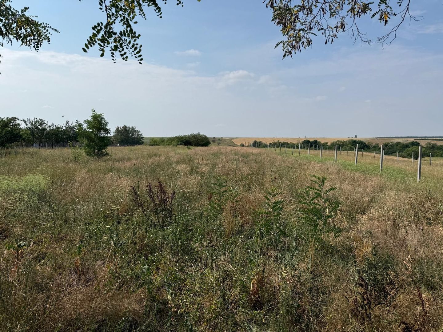 Teren intravilan Miersig, vedere la lac. 12,5 E/mp neg. Comision 0 - Poză 10