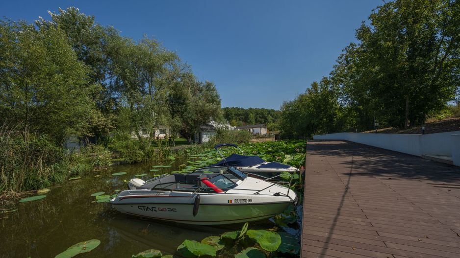 Vila Superba - Snagov Lac - Comunitate - Piscina - Ponton - Poză 2