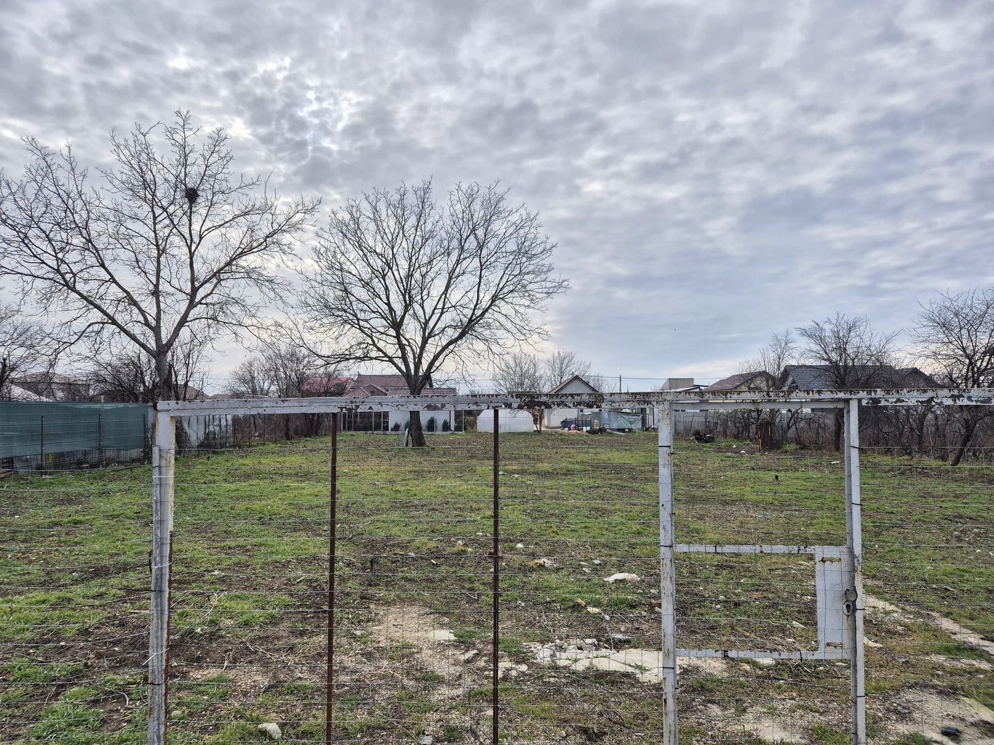 Teren intravilan 1343 mp - Afumati - Poză 2