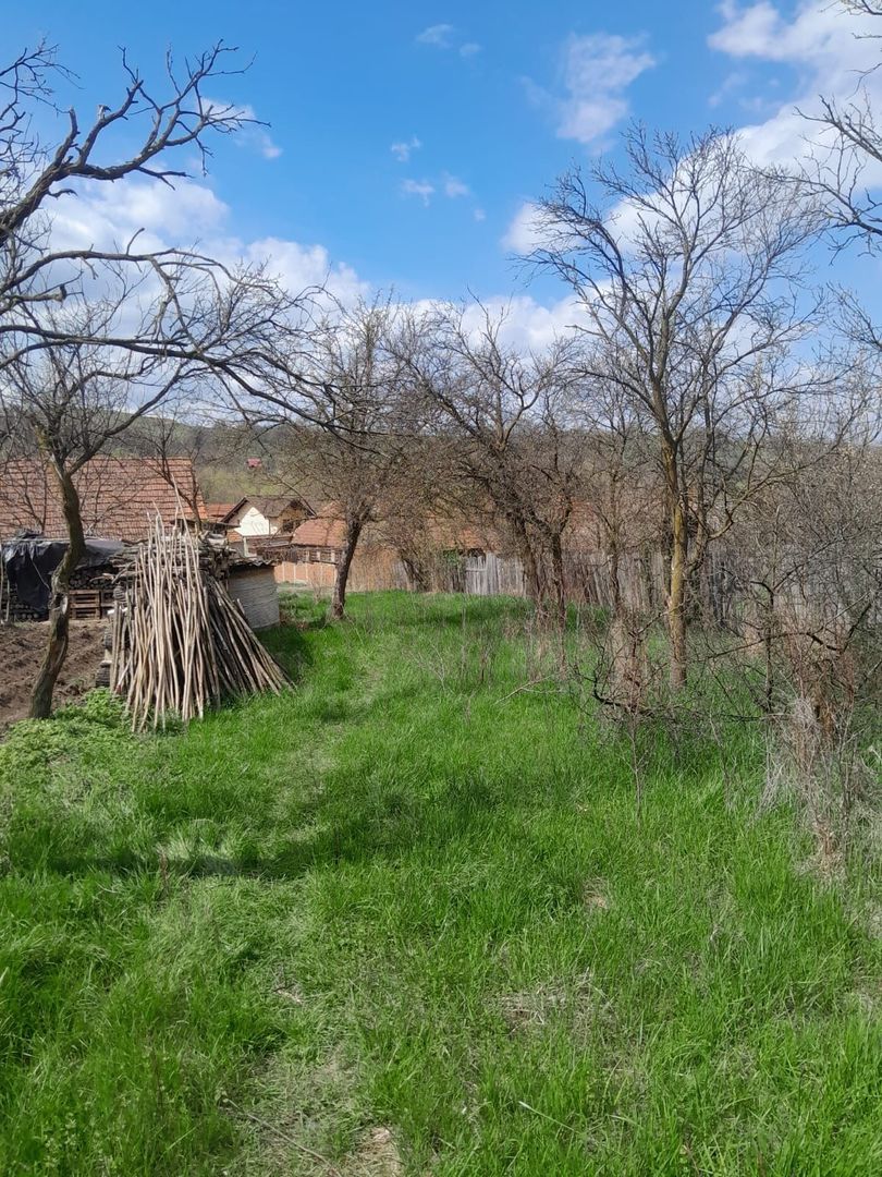 Teren de vanzare in Vaidei - Poză 4
