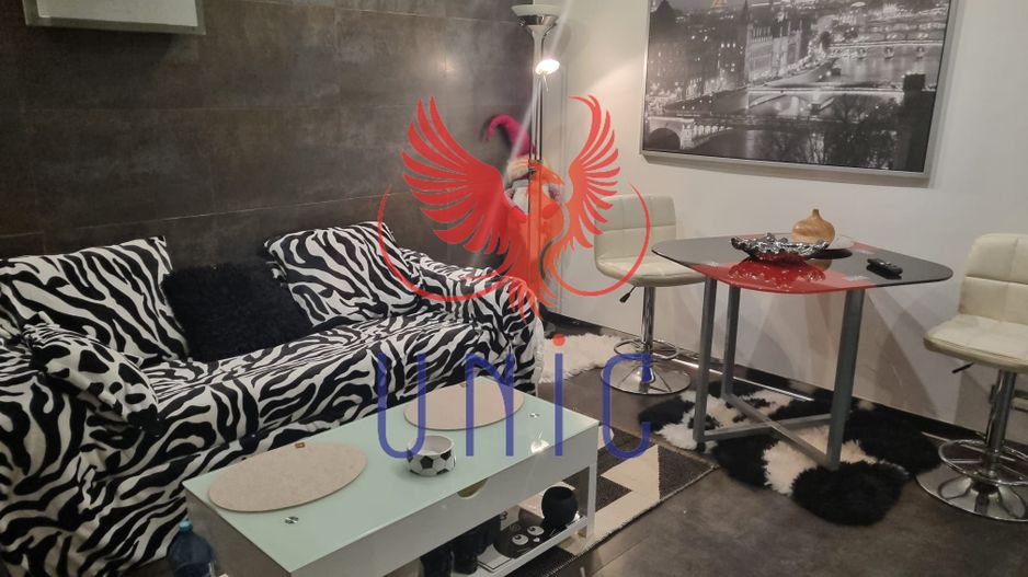 Apartament 2 camere-Rovine - Poză 6